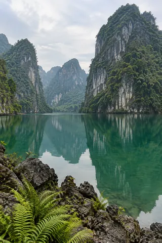 Limestone peaks enclosing an emerald lagoon with ferns along the shore